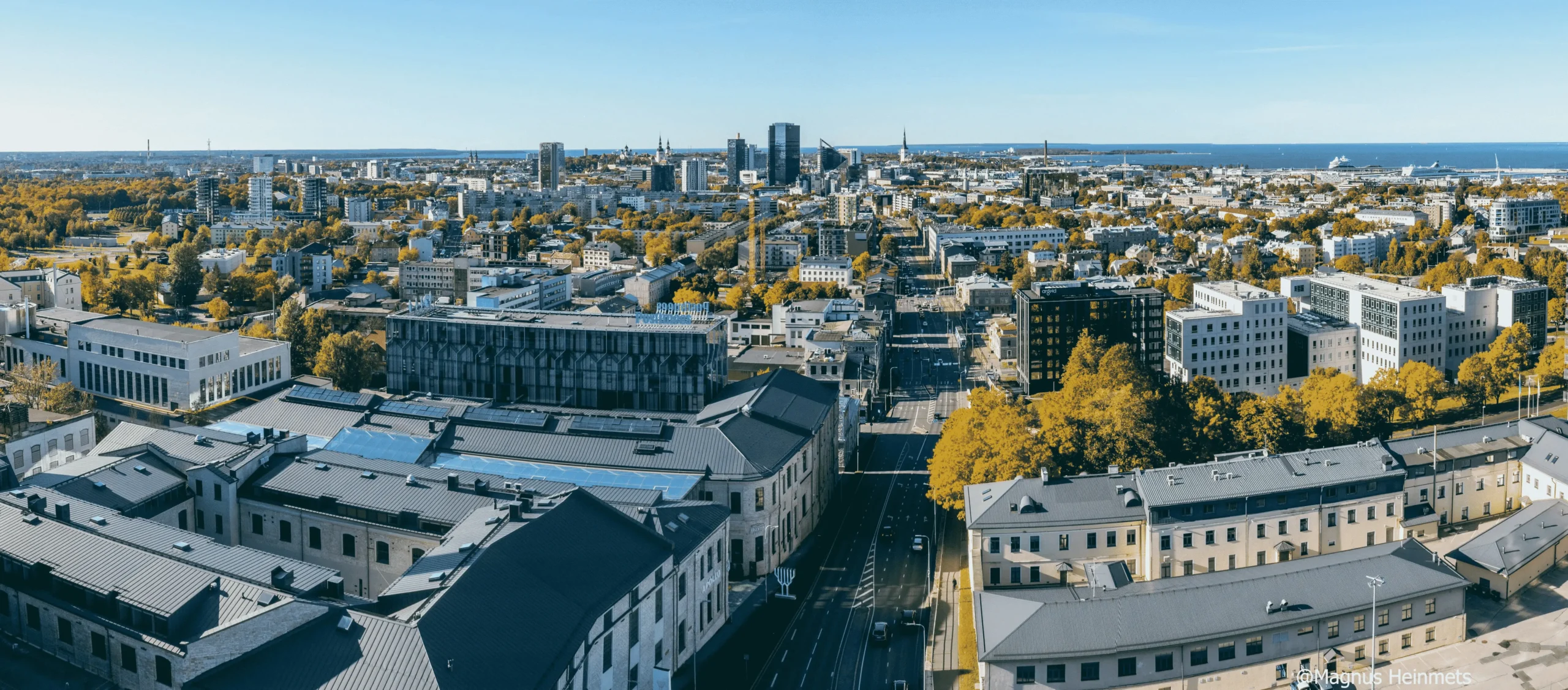 https://liven.ee/wp-content/uploads/2025/07/magnus-heinmets_kaupokalda-scaled.webp